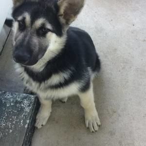 Meet your Posher, Drew